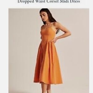 Abercrombie Dropped Waist Corset Midi Dress